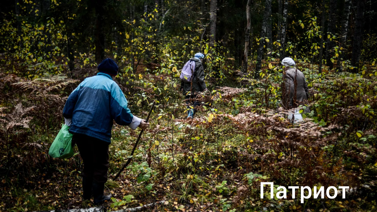 Фото из открытых источников 