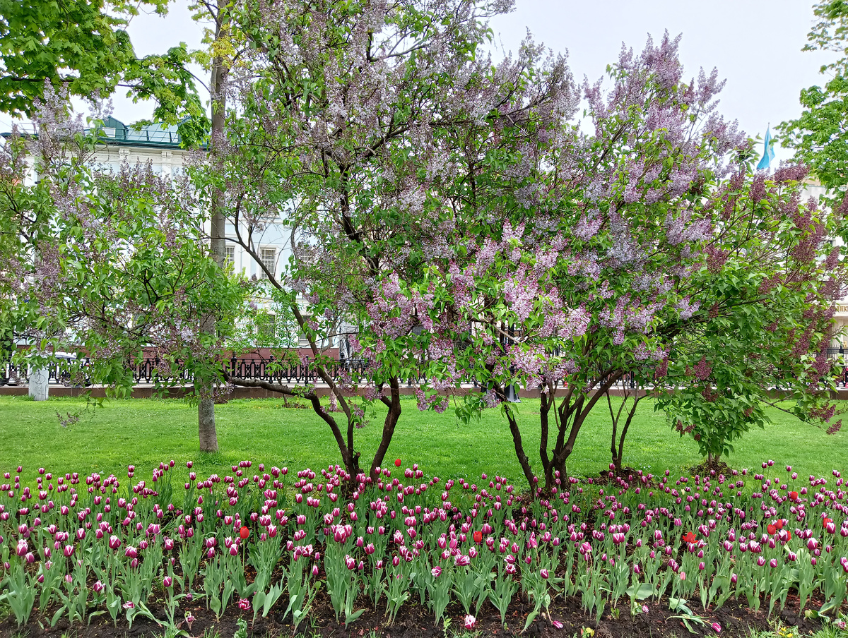 Чистые пруды