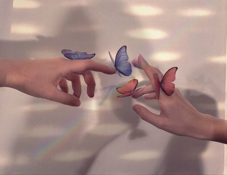 «Бабочки в животе: Почему влюблённость и стресс — две стороны одной медали»