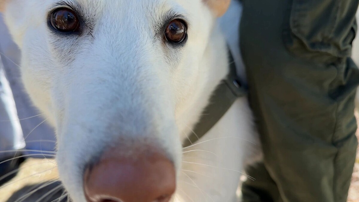    Фото: Ольга Климова/«Ямал-Медиа»