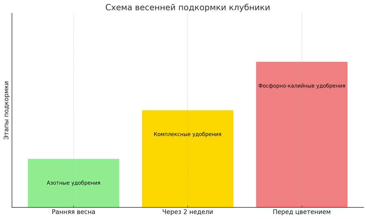 Схема весенней подкормки клубники