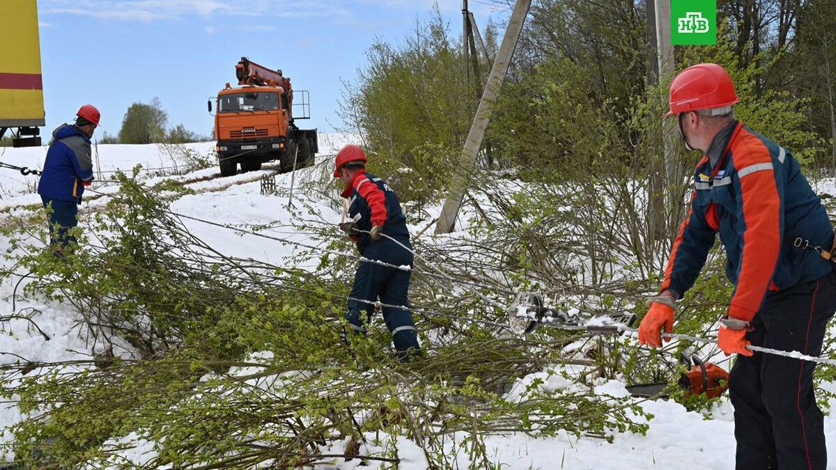    Фото: rossetimr_ru / t.me