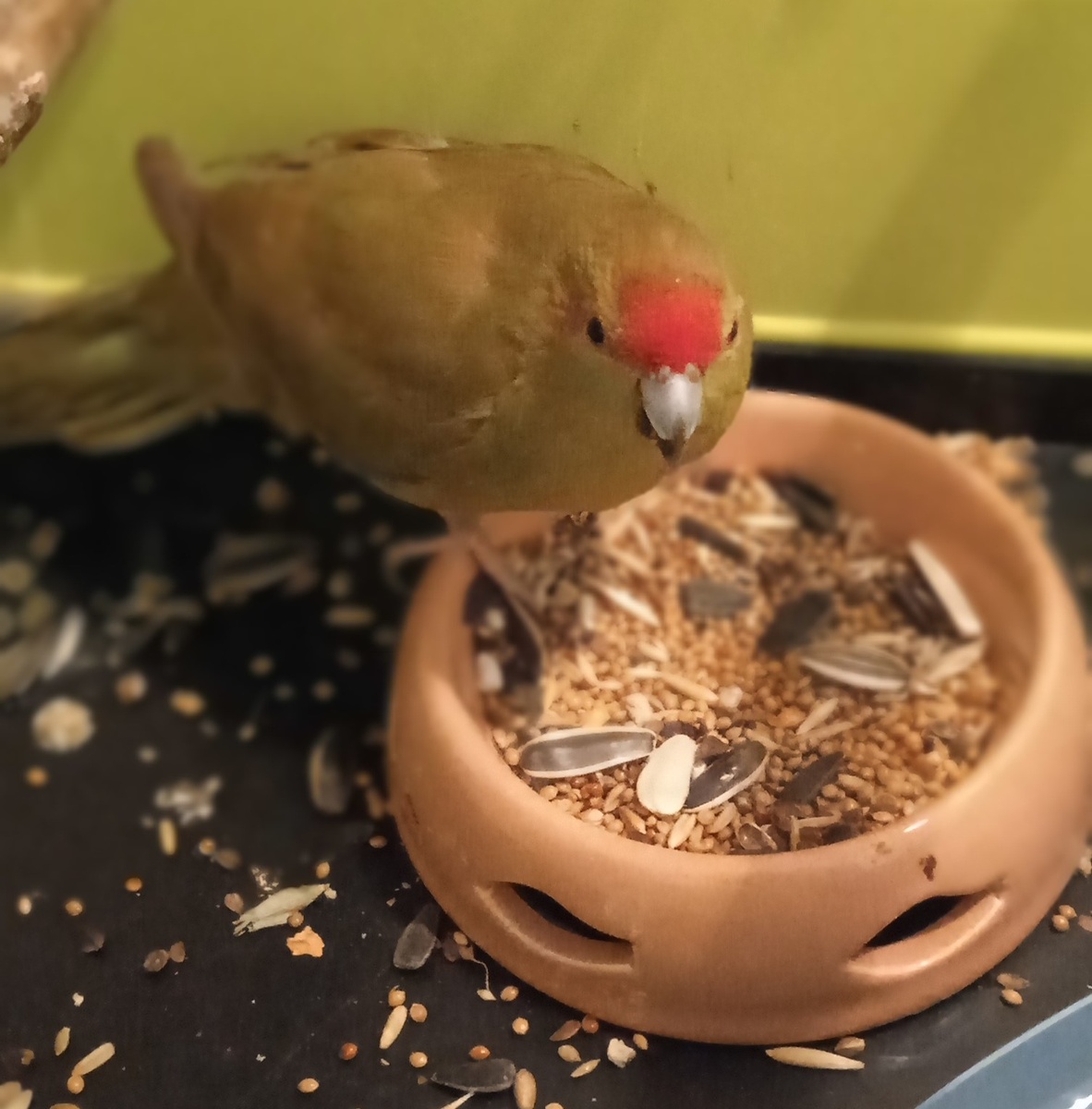 Кажется, пора подкрепиться!