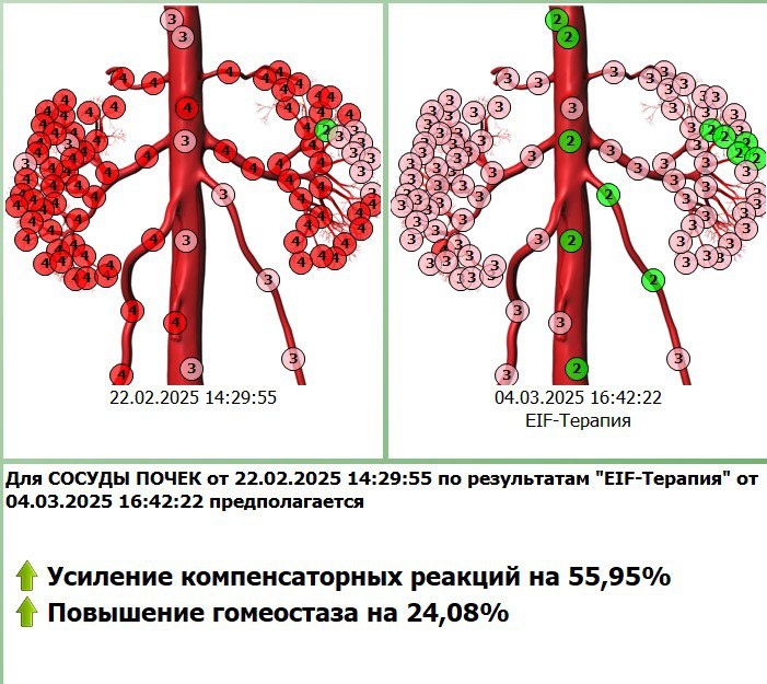 Диагностика с коррекцией состояния в программе Дианел