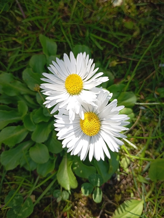 Рига, 2 мая 2025