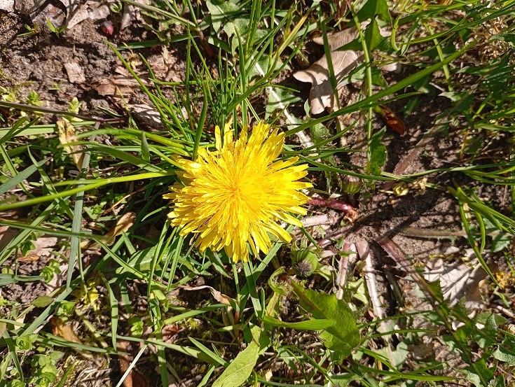 Рига, 2 мая 2025