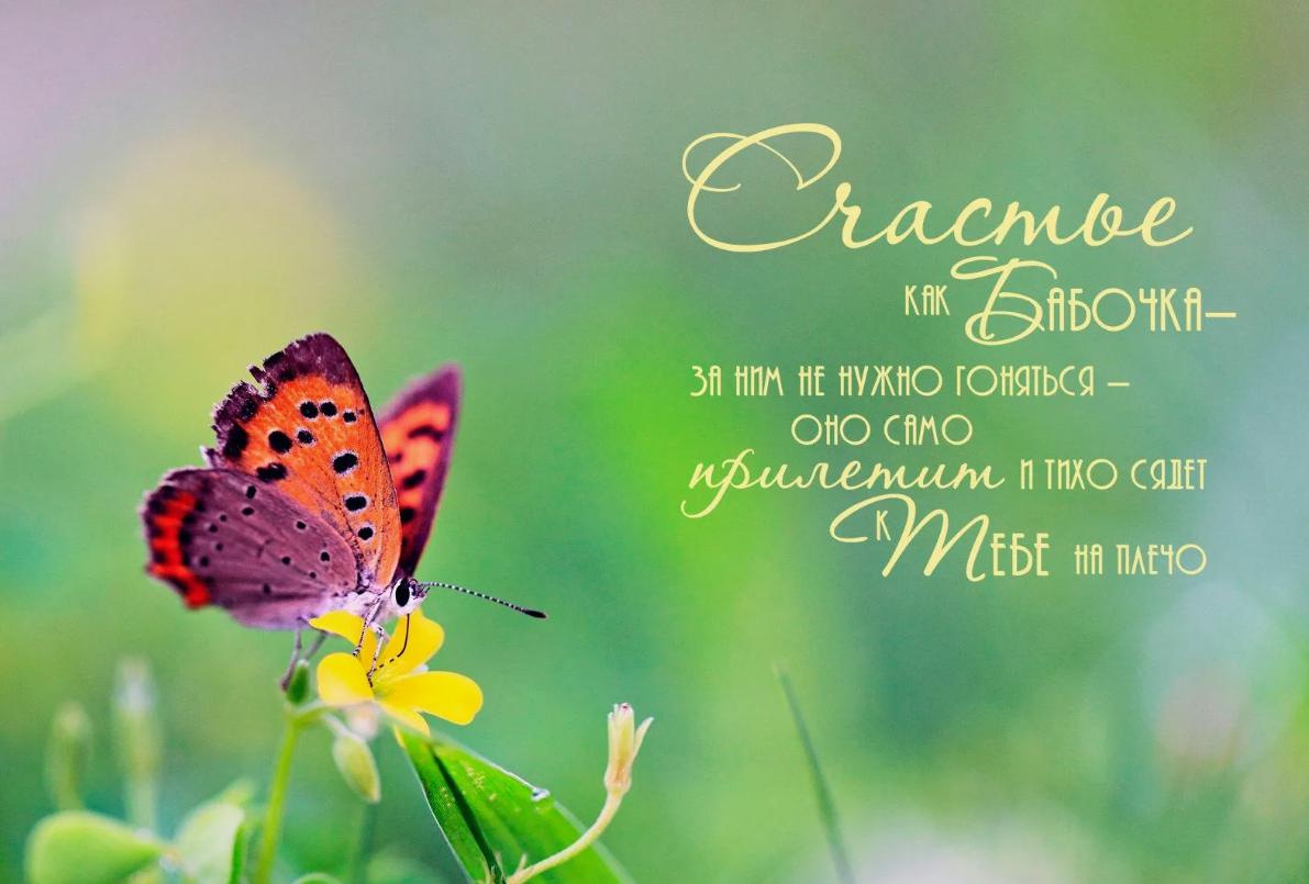 фото из открытого источника