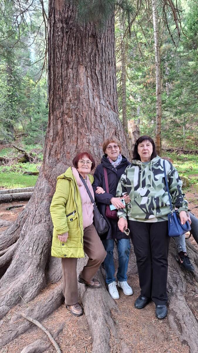 туристы на экскурсии