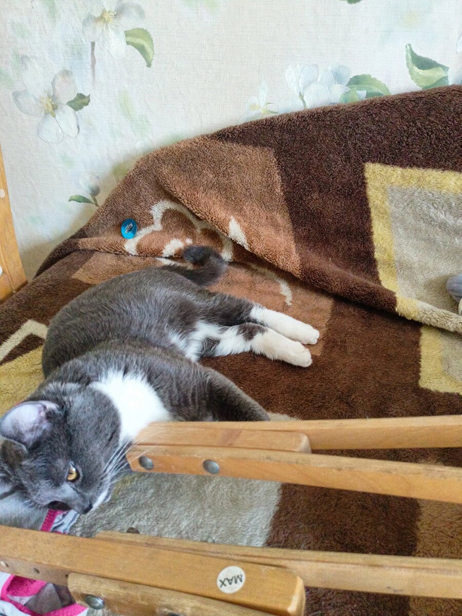 Шурику нравятся костыли.