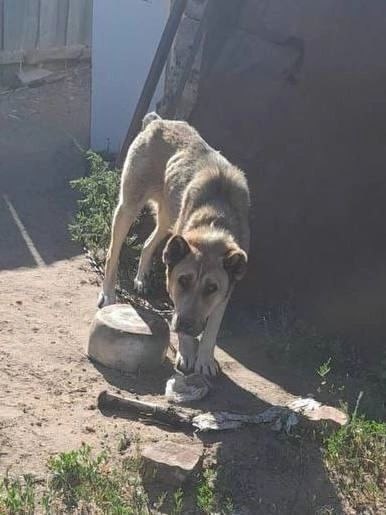 Нам пишут