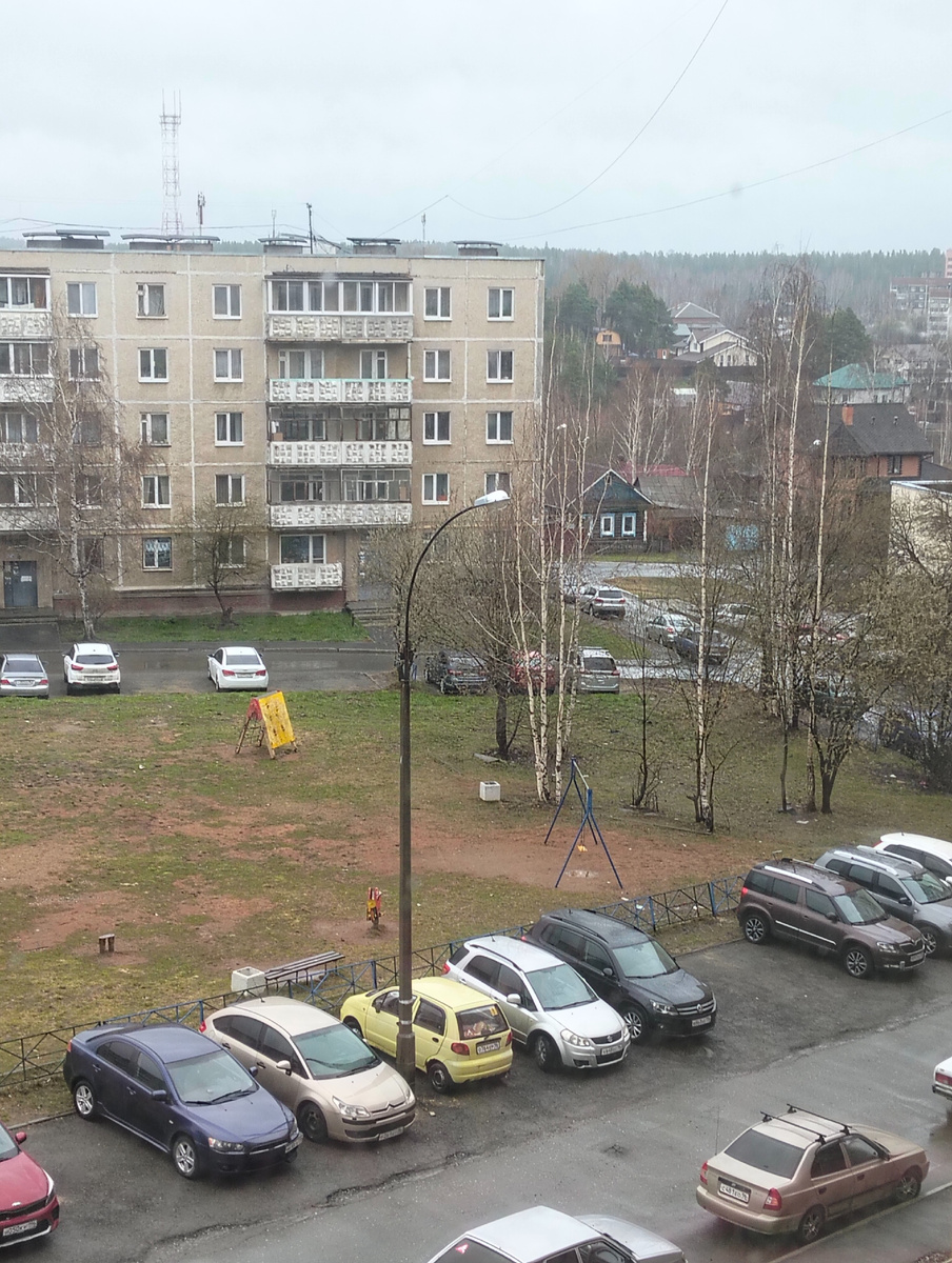 Потихоньку начинает зеленеет. 