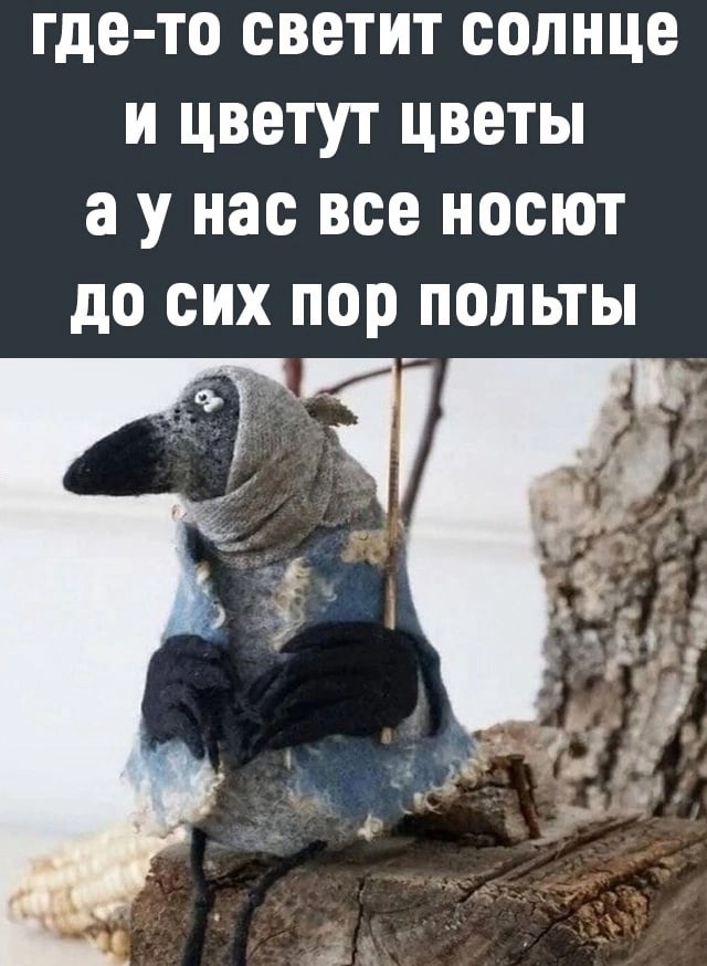 Из открытого источника. 