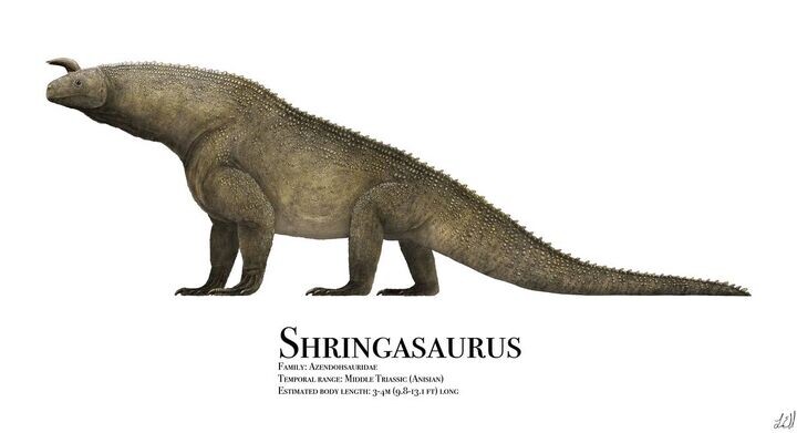 Шрингазавр. Иллюстрация с информацией (размеры и время жизни).