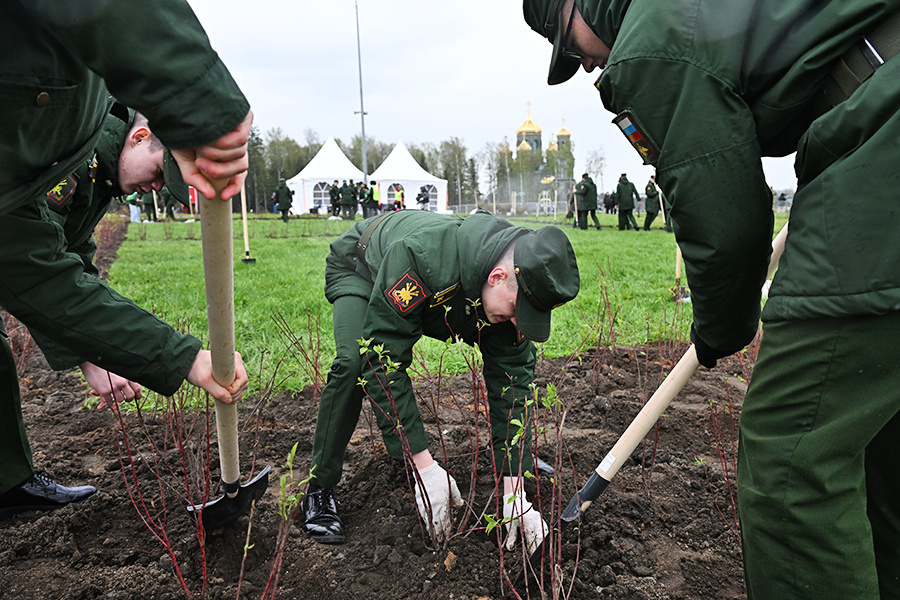    © Максим Блинов/ РИА Новости