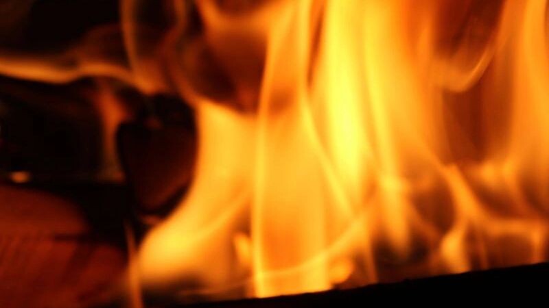    Фото: Rostyslav Tymchak/Shutterstock/Fotodom