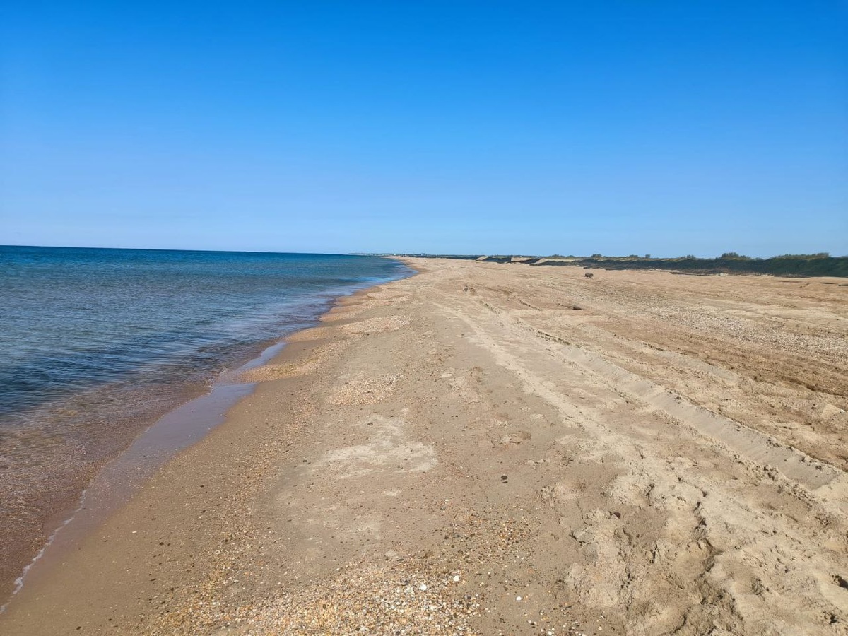    Фото: Оперштаб Кубани