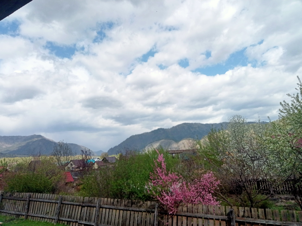 Вид с крыльца 