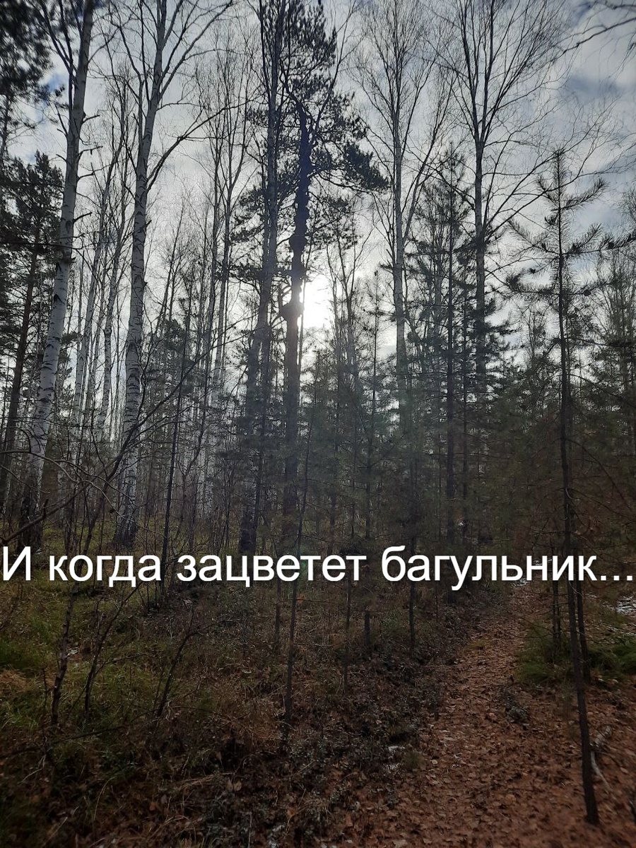 Фото автора.