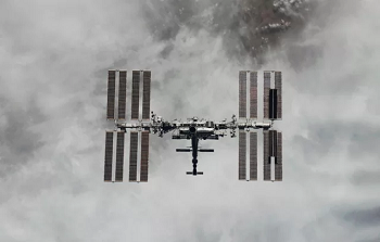 Из цитируемого источника