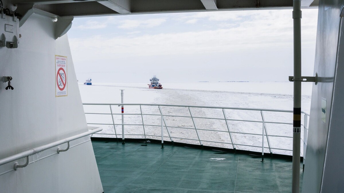    Фото: Юлия Чудинова/«Ямал-Медиа»