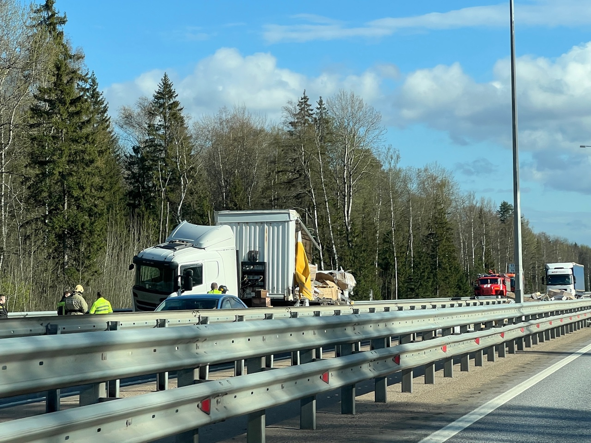 Фото: Екатерина Царева