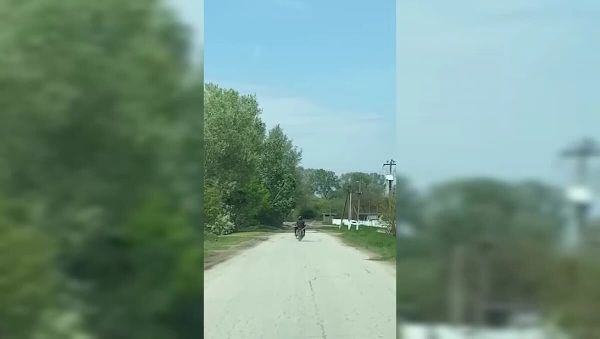    Скриншот видео t.me/gibdd123region