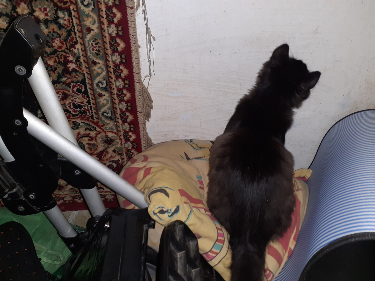 Что то заитересовало.