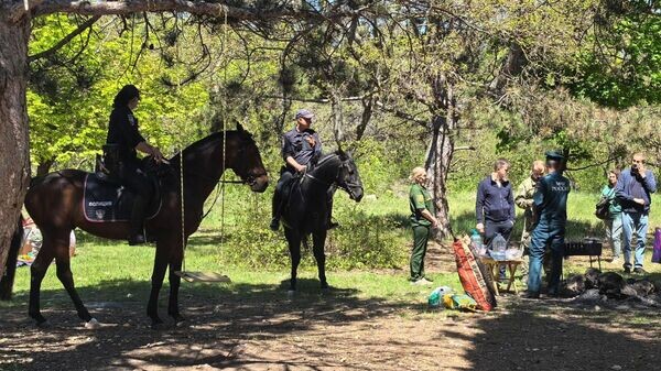    © Telegram Михаил Развожаев