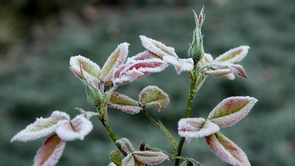 Фото: «Ъ-Кубань»