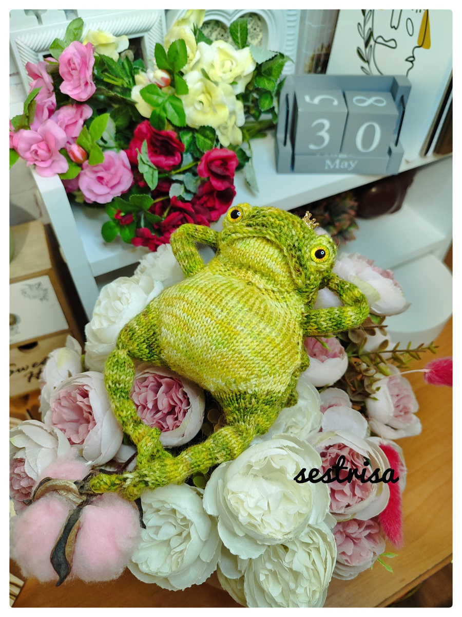 Породистая Жабка по МК Елены Дарченко