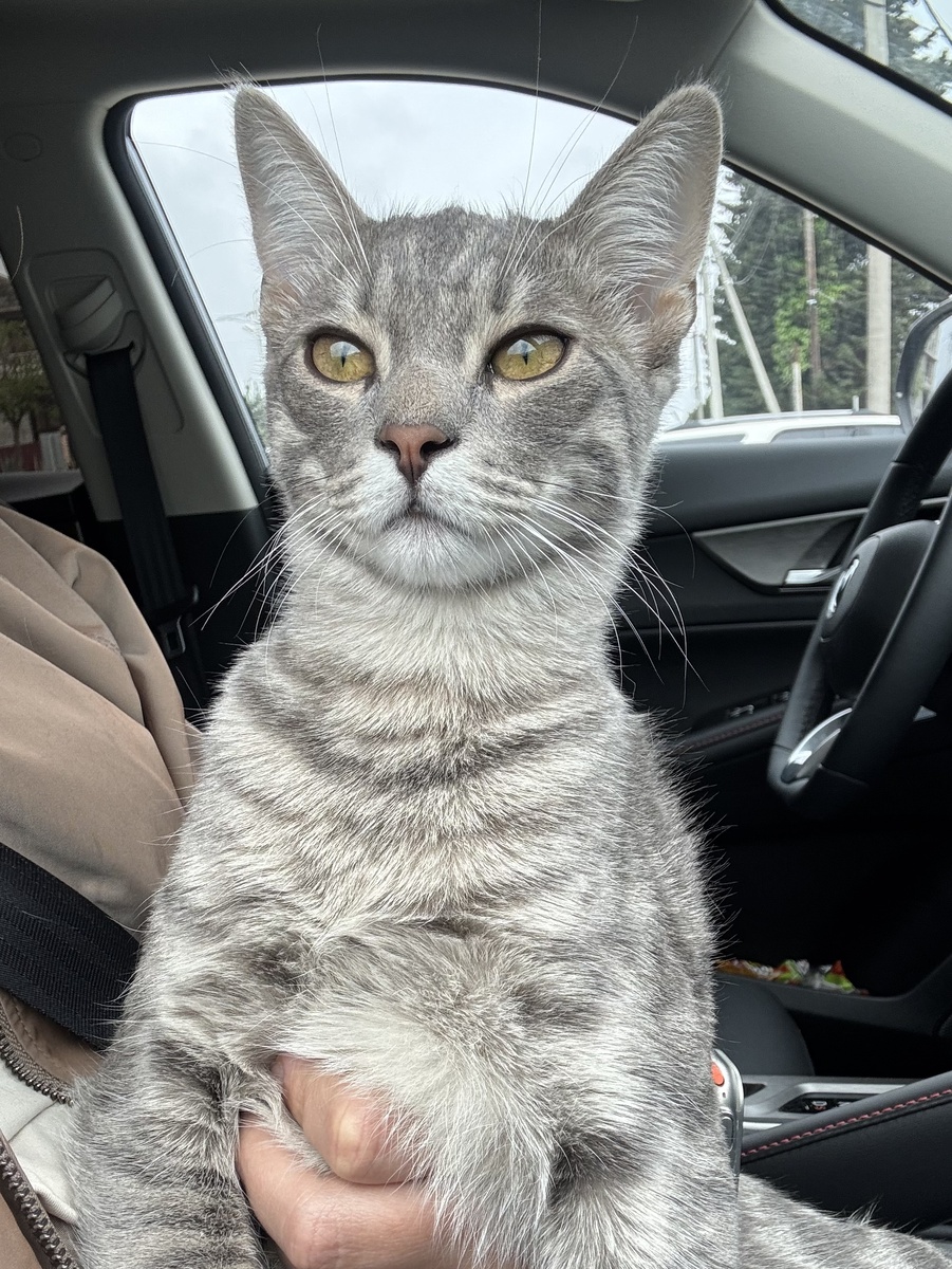 Путешественник