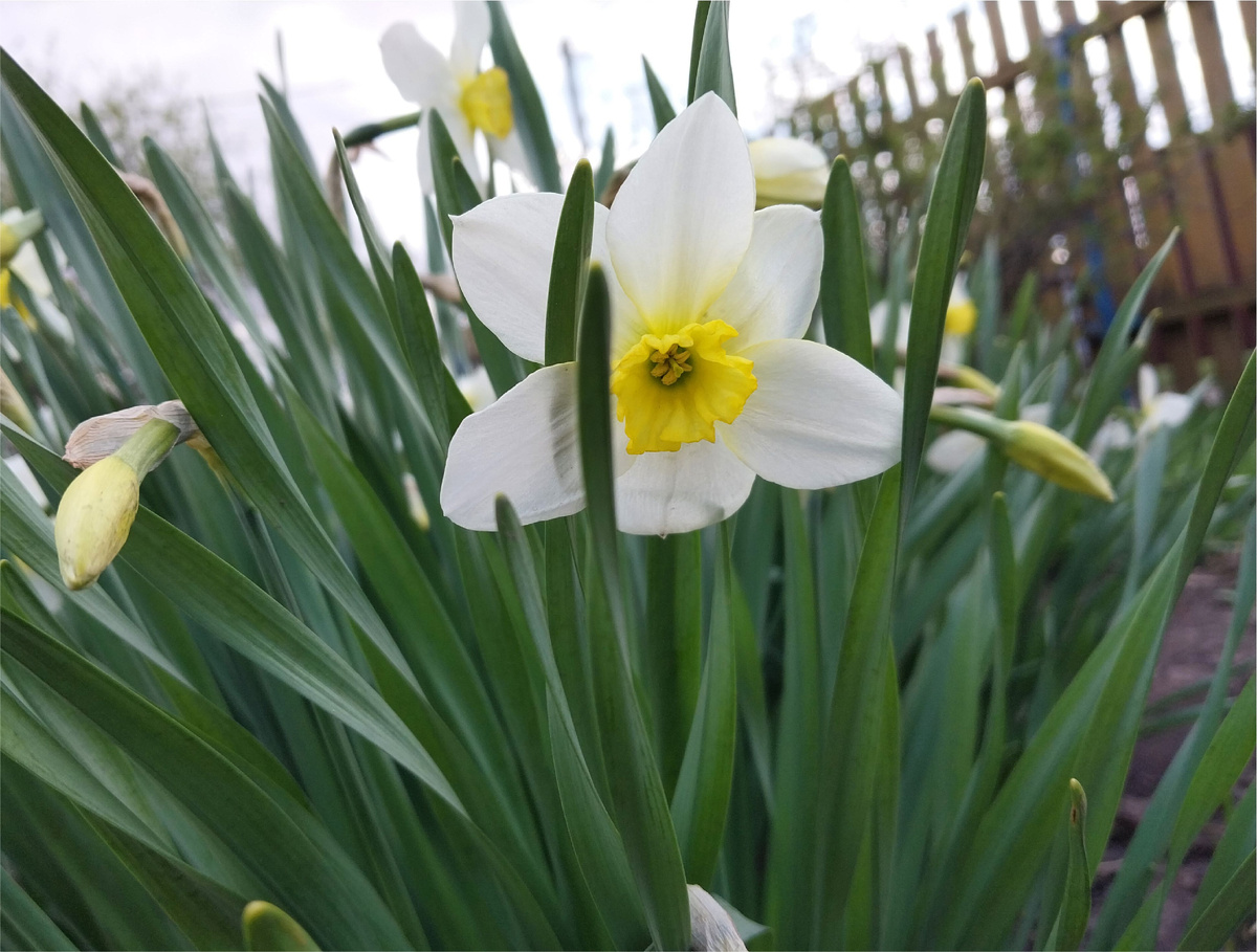Пришлось преклонить колено, чтобы запечатлеть красоту.