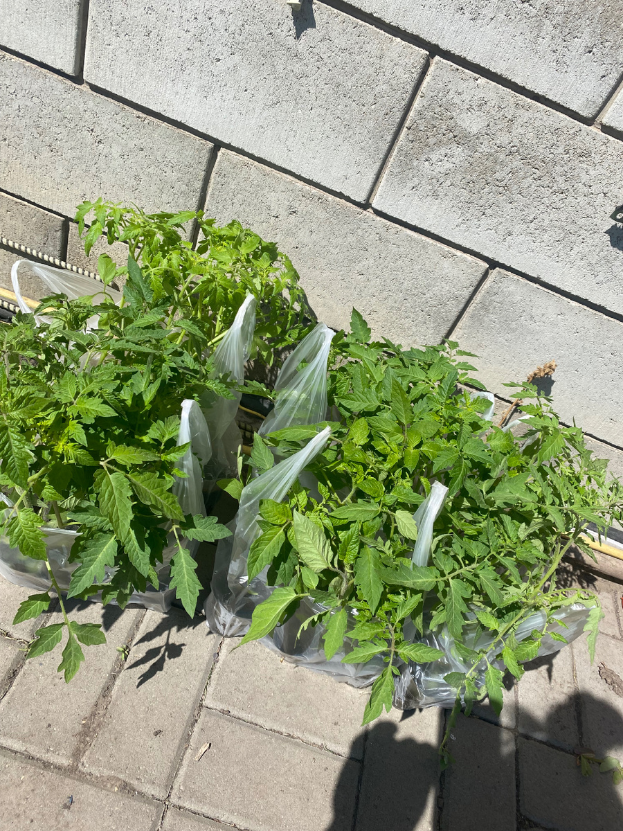 Фронт работы на сегодня.