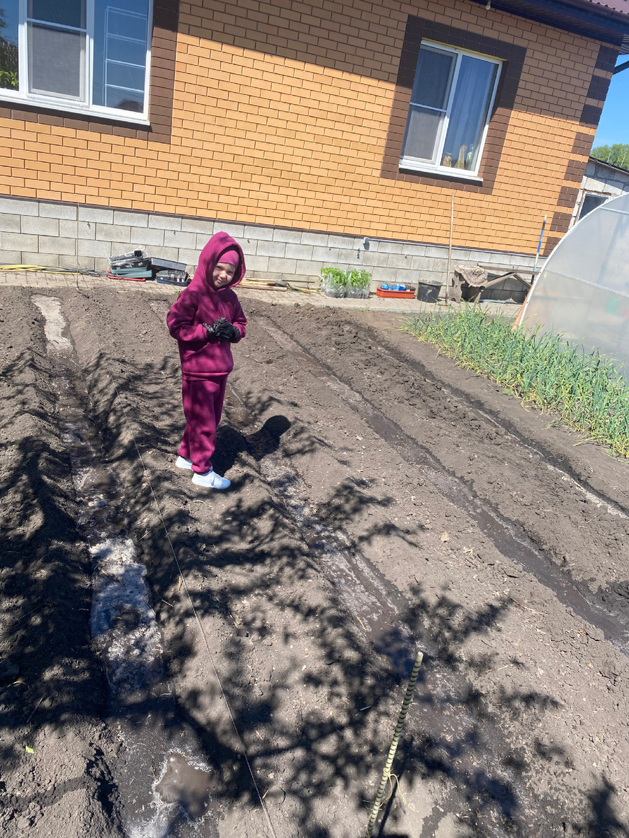 Хорошечно с дочерью проливаем каждую грядку. Чтоб наши помидорки не высохли в первые дни после посадки. 