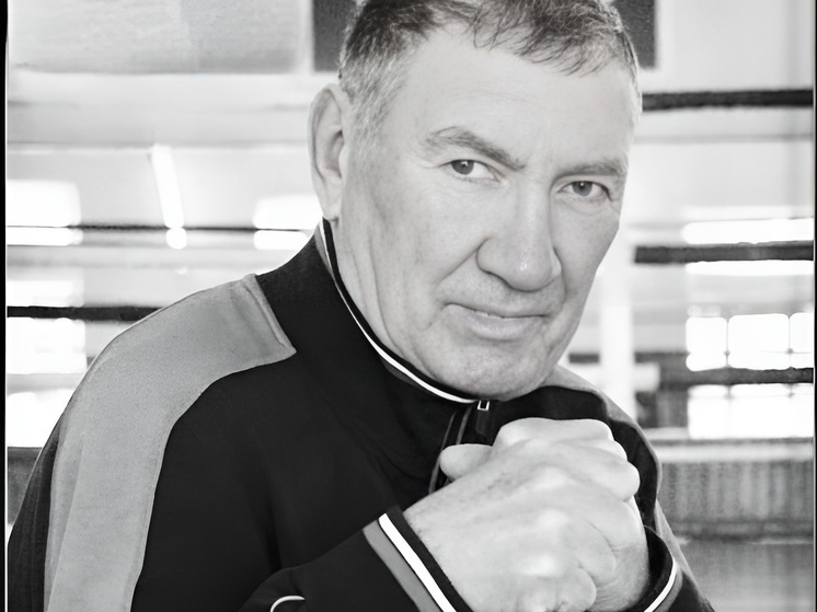     Фото: Федерация бокса России