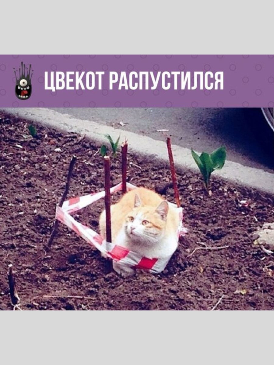 -16