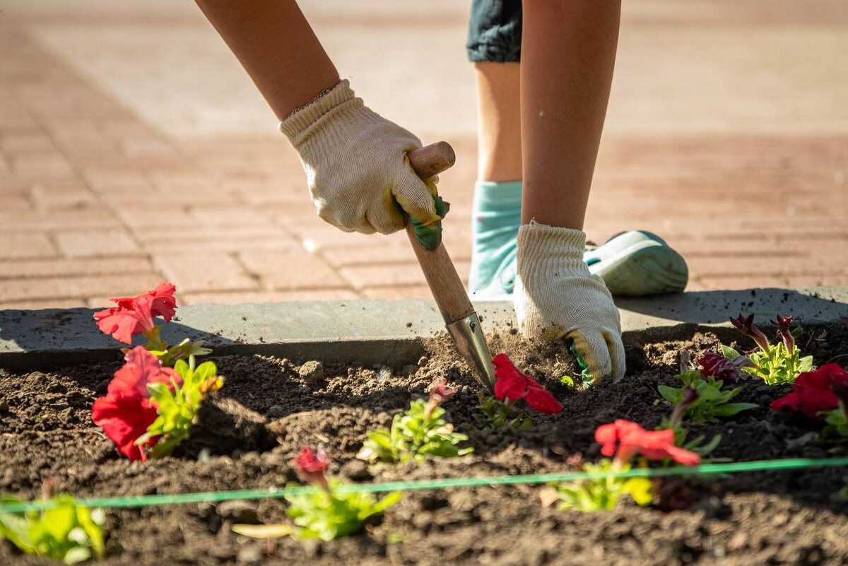    Мемориалы и парки Курска преображаются к 9 мая