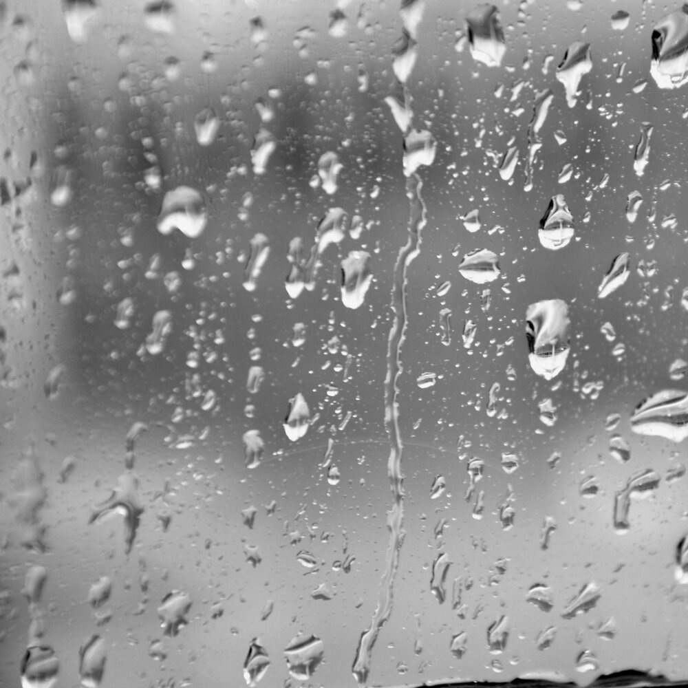 Фото из открытых источников. 