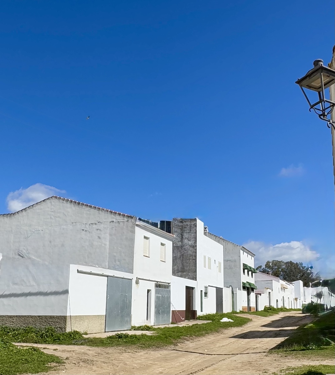 фото Сад в стиле Paradise 