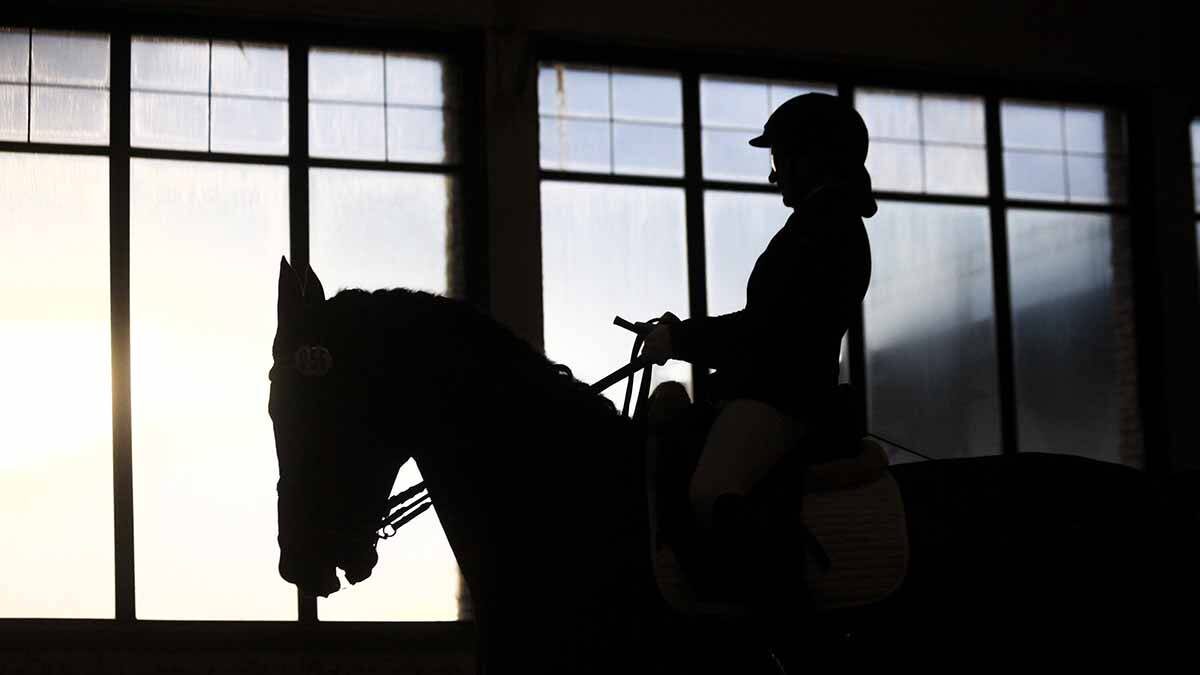    Фото: Сергей Ведяшкин / АГН Москва