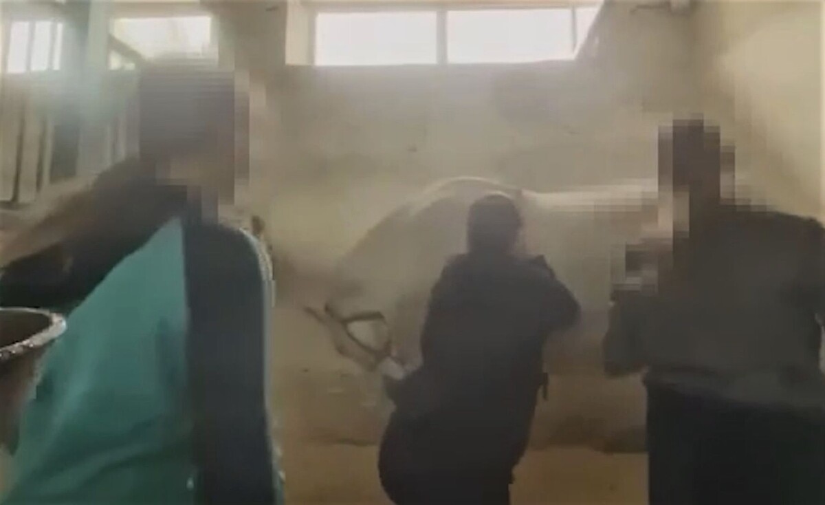     / Источник: Кадр из видео