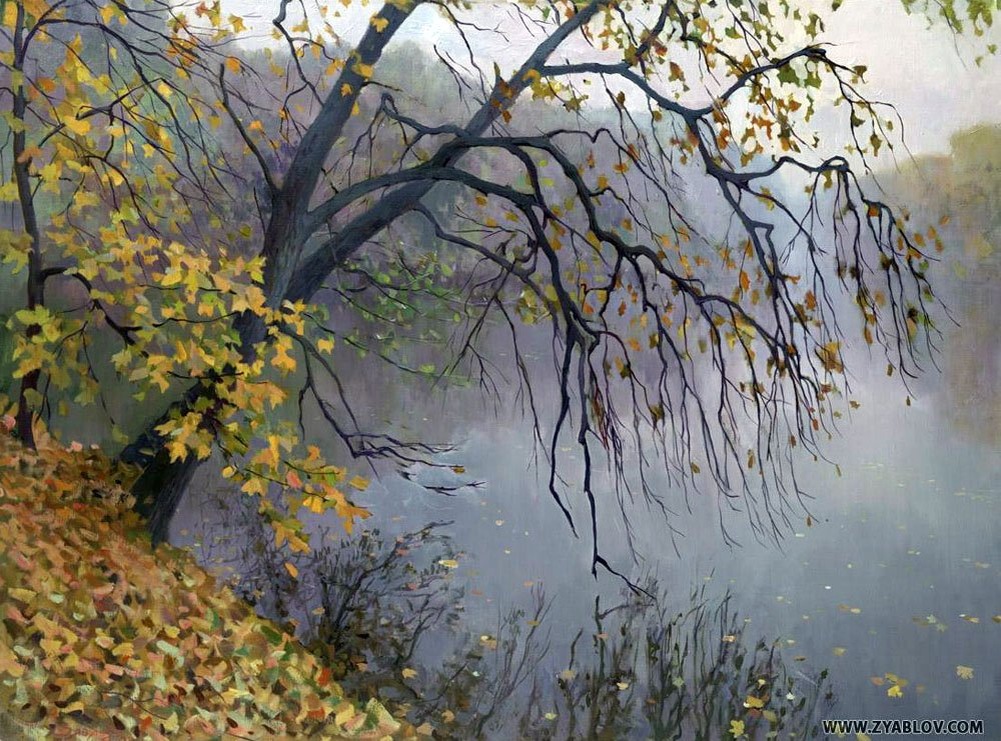 фото из интернета