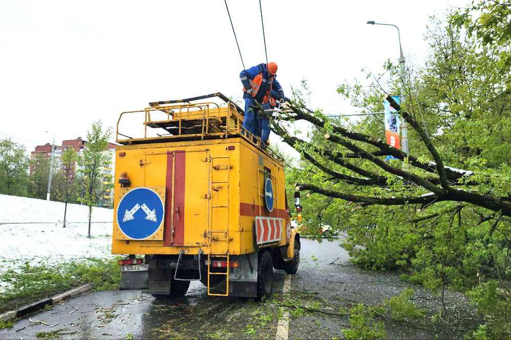    © t.me/vorobiev_live