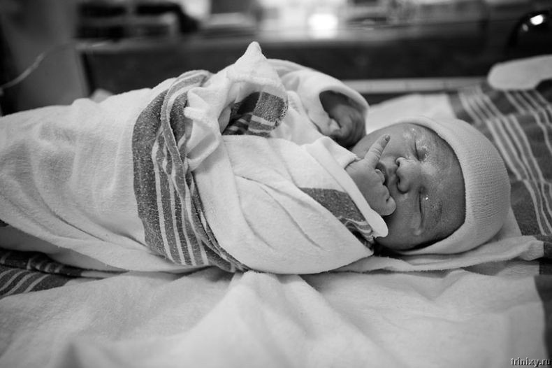 Из открытого доступа