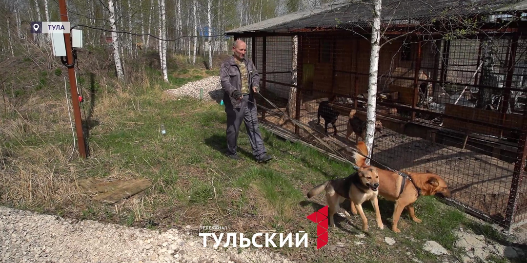 Собачья жизнь: туляк спасает животных