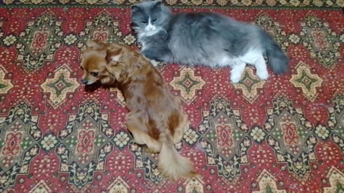 Боня и Нюся.