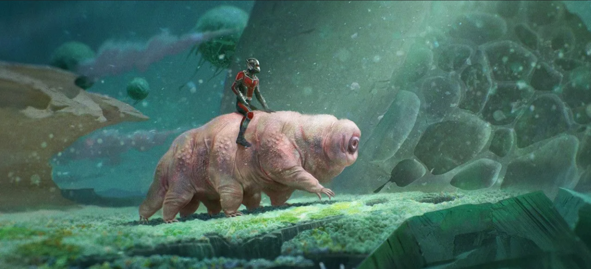 кадр из фильма: человек-муравей и оса квантомания фильм 2023, человек муравей верхом на тихоходке.