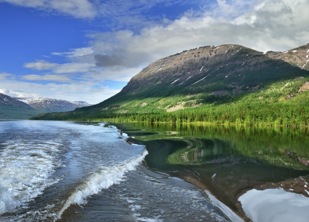 Фото из интернета 