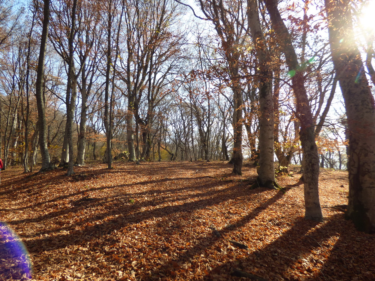 Дорога на Демерджи