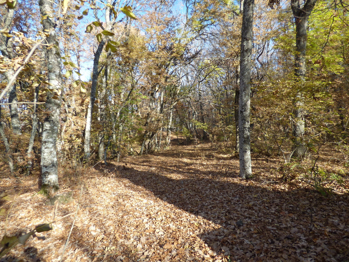 Дорога на Демерджи